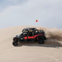 Private & Custom Tours