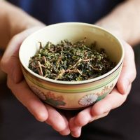 Coffee & Tea Tours
