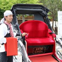 Cultural Tours