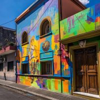 Cultural Tours