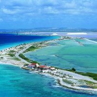 Bus & Minivan Tours