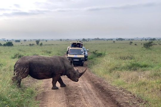Valentine's Day in Kenya