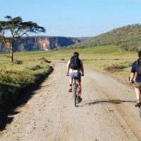 Full-day Tours