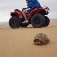 4WD, ATV & Off-Road Tours
