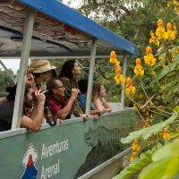 Full-day Tours
