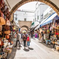 Half-day Tours