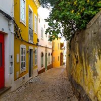 Wine Tasting & Winery Tours