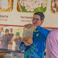 Coffee & Tea Tours