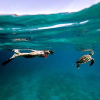 Cruises, Sailing & Water Tours