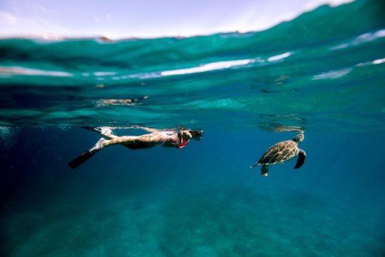 Valentine's Day in US Virgin Islands
