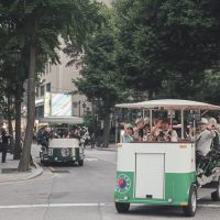 Layover Tours