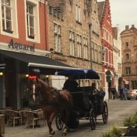Transfers & Ground Transport