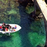 Glass Bottom Boat Tours
