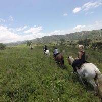 Sustainable Tours