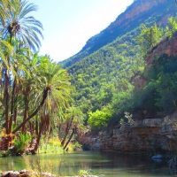 Half-day Tours