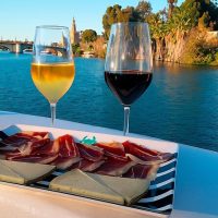 Day Cruises
