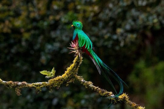 Good Friday in Monteverde