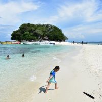 Half-day Tours