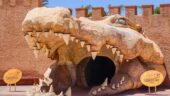 Fantastic experience a must do in Agadir