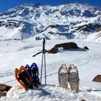 Ski & Snow