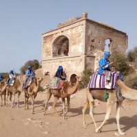 Private Sightseeing Tours