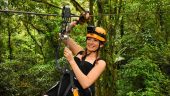 Must Experience the Rainforest via zipline.