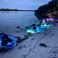 Glass Bottom Boat Tours
