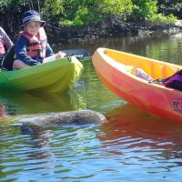 Kayaking & Canoeing