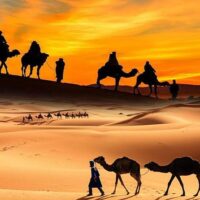 Full-day Tours