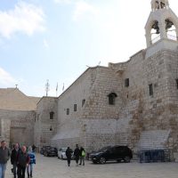 Shore Excursions
