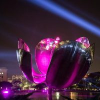 Night Tours