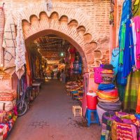 Shopping Tours