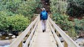 Great guides for hiking the Smokey Mountains