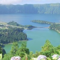 Bus & Minivan Tours