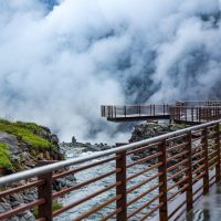 Shore Excursions