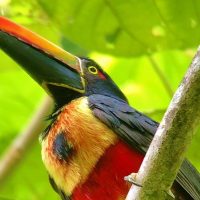 Walking & Biking Tours