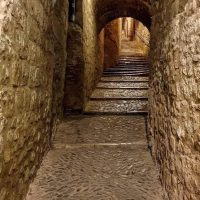Cultural & Theme Tours