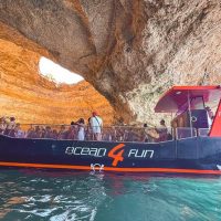 Boat Tours
