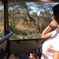 Day Trips & Excursions