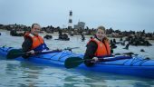 Kajaking with seals - an exciting ride and amazing adventure!