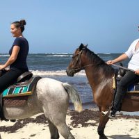 Horseback Riding