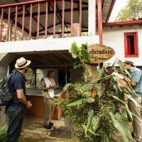 Plantation Tours