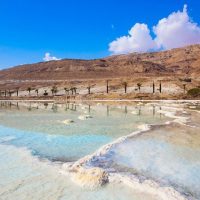 Day Trips & Excursions