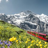 Bus & Minivan Tours