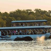 Cruises, Sailing & Water Tours