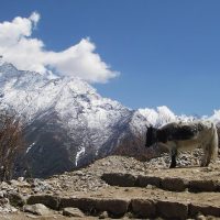 Hiking & Camping