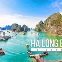 Cruises, Sailing & Water Tours