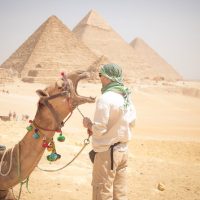 Cultural Tours