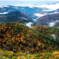 Bus & Minivan Tours