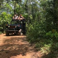 Safaris